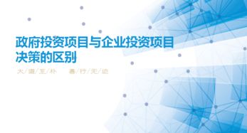 政府投資項目與企業投資項目決策在實業投資領域的差異剖析
